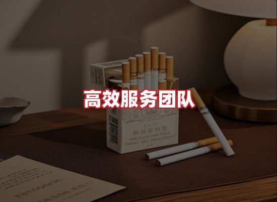 专业团队